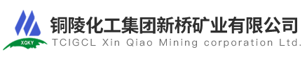 铜陵化工集团新桥矿业有限公司