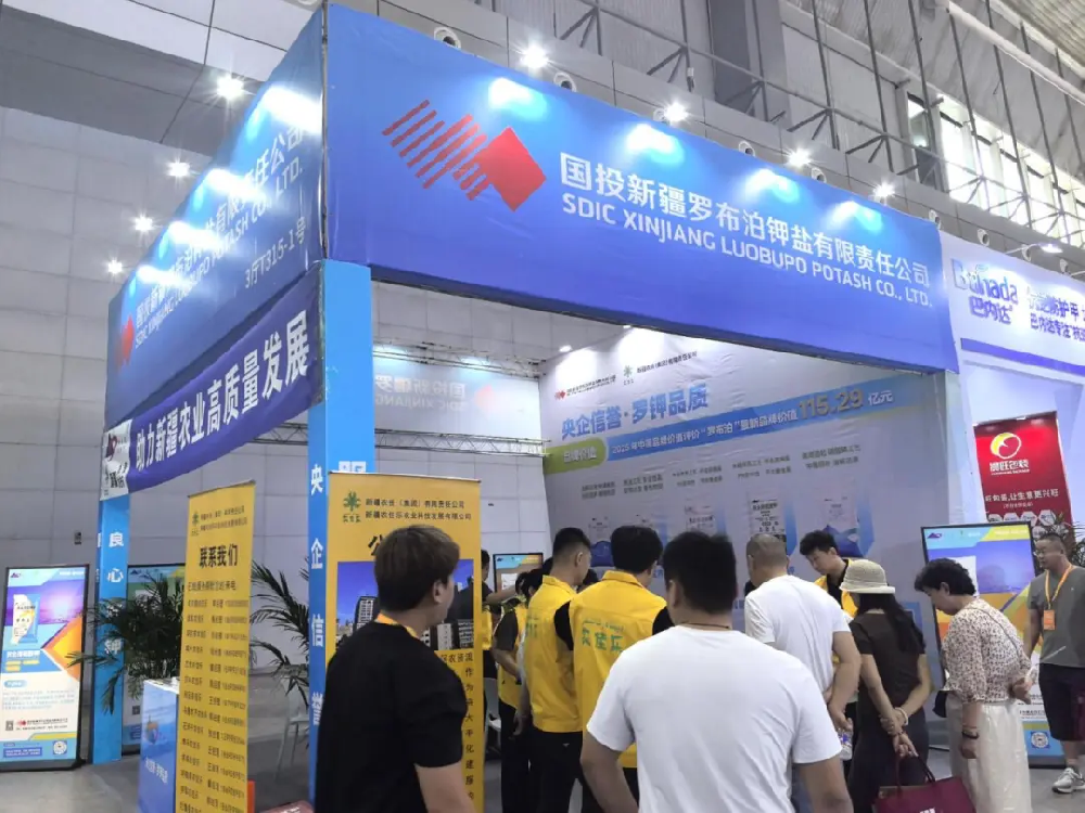 图片 2.png