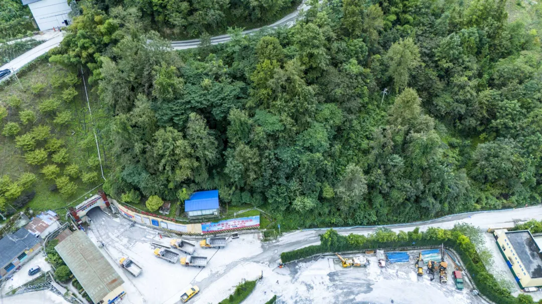 1766125578548571.png 图片 4.png