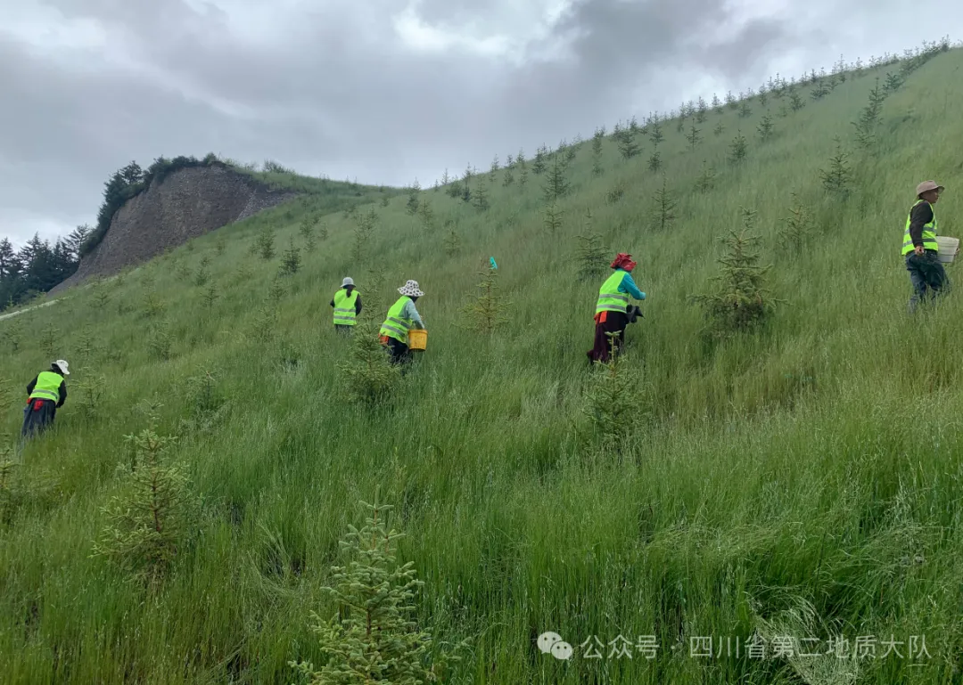 1766128286127480.png 图片 5.png