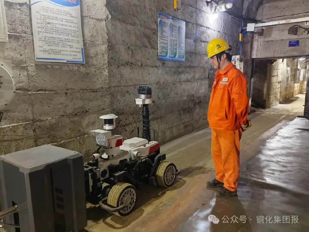 1766541391507852.png 图片 1.png