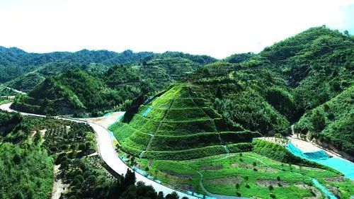 1767854170128087.png 图片 1.png