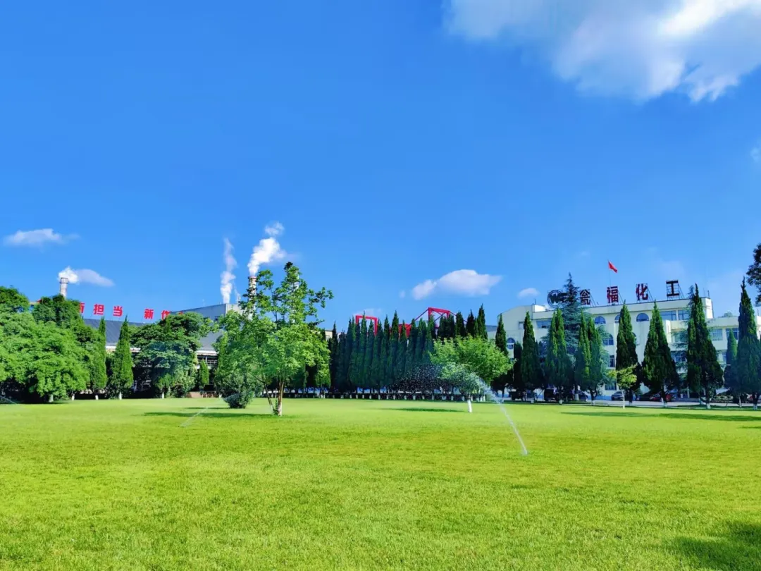 1767856424551801.png 图片 2.png