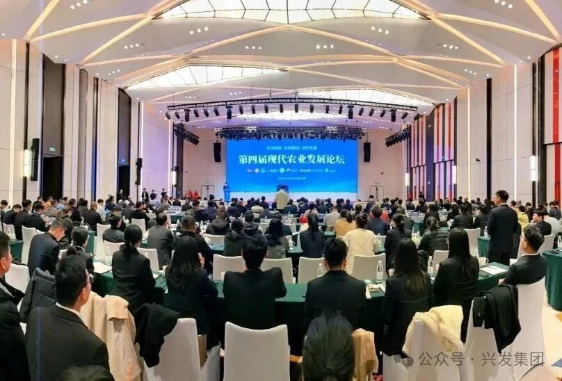 1767861417198070.png 图片 2.png