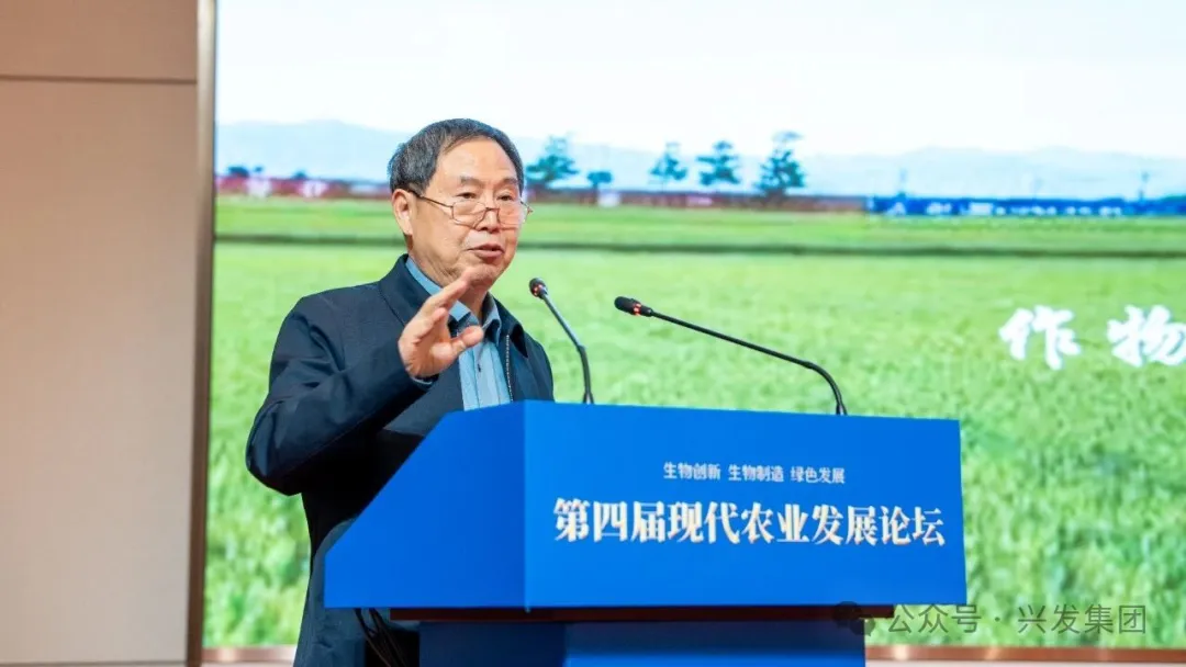 1767861428991662.png 图片 3.png