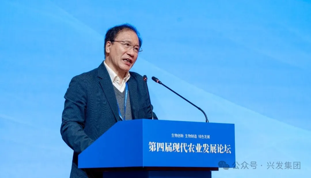 1767861433865318.png 图片 4.png