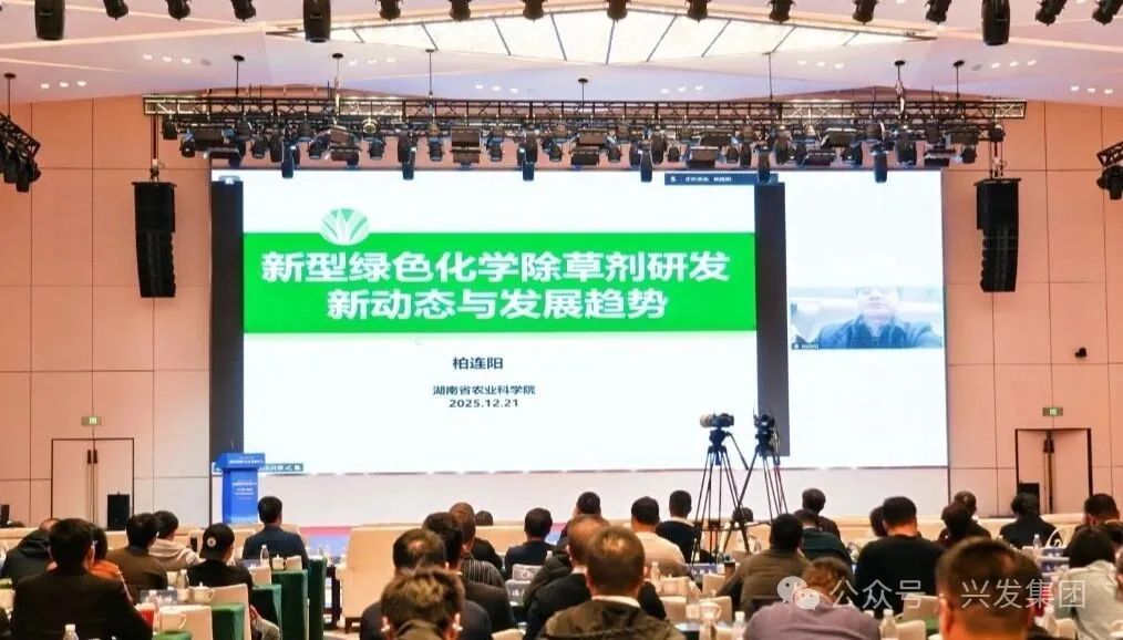 1767861459448947.png 图片 9.png