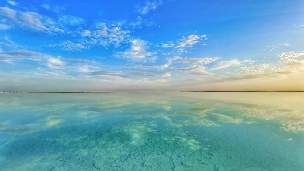 1781148007319870.png 图片 1.png